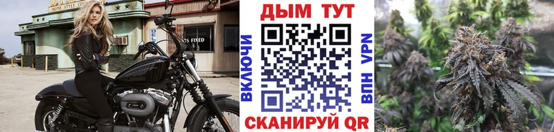 Где продают наркотики Шелехов Псилоцибиновые грибы  Конопля  МЕТАДОН  СК  Гашиш  Кокаин  Мефедрон 
